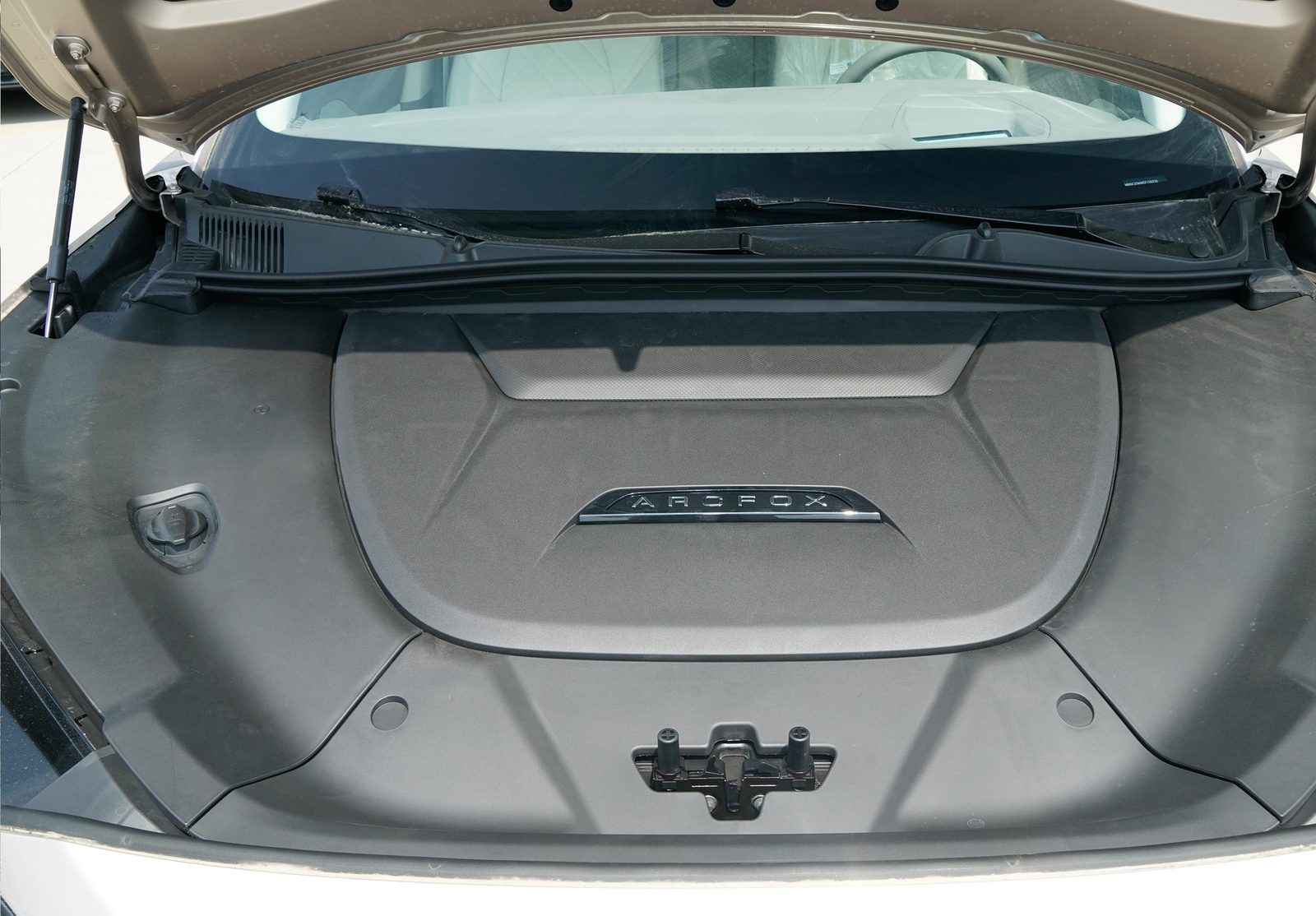 Arcfox Alpha S6 2025 - exterior, detail, China market