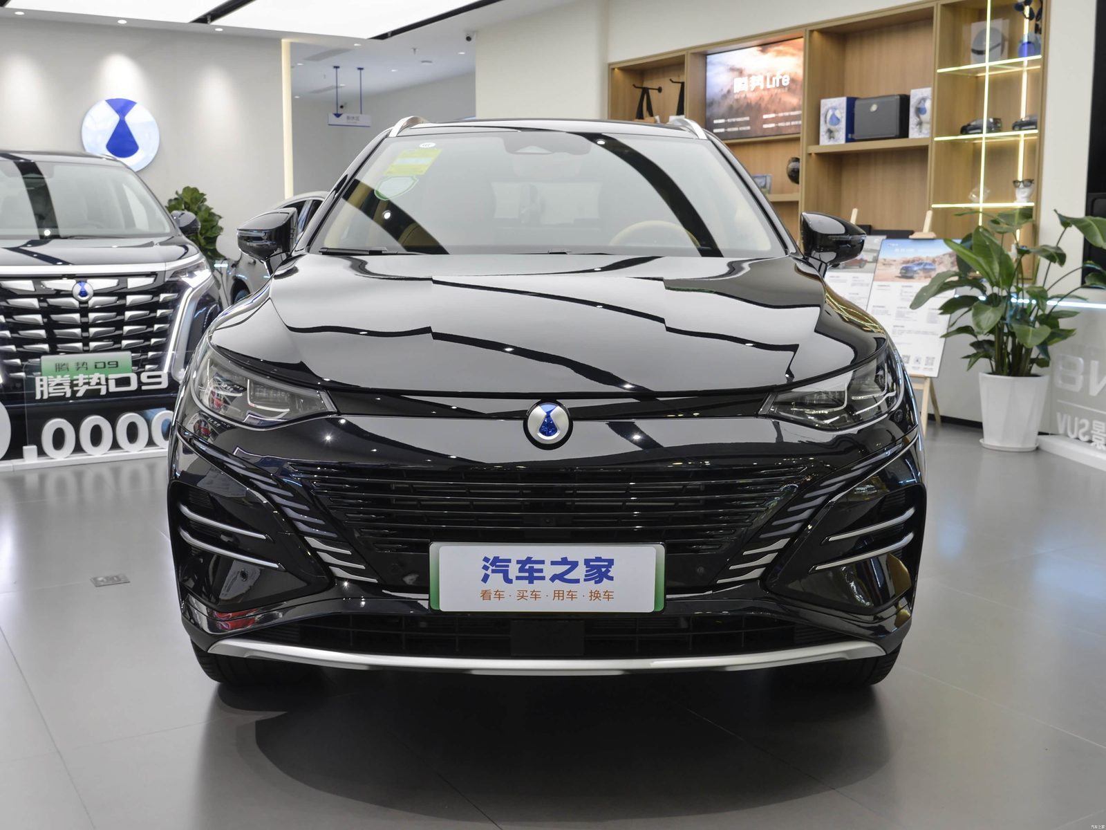 Denza N8 2023 - exterior, front view, china market