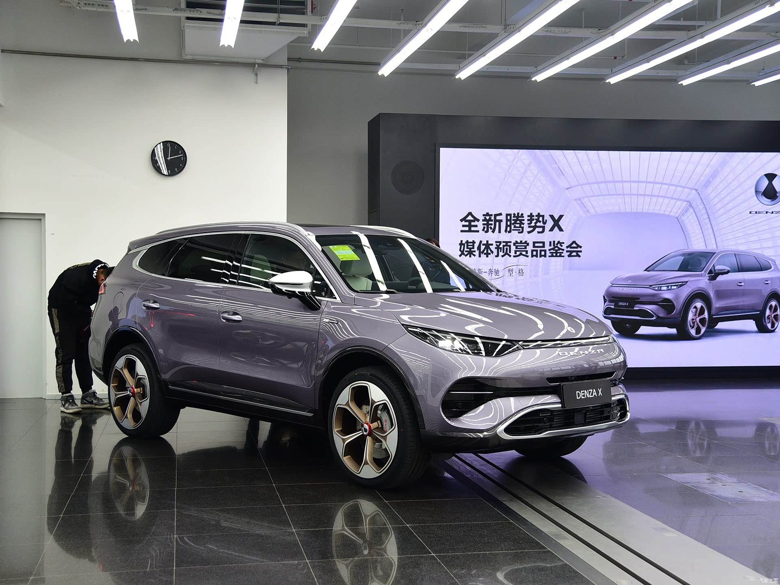 Denza X 2020 - exterior, rear view, china market