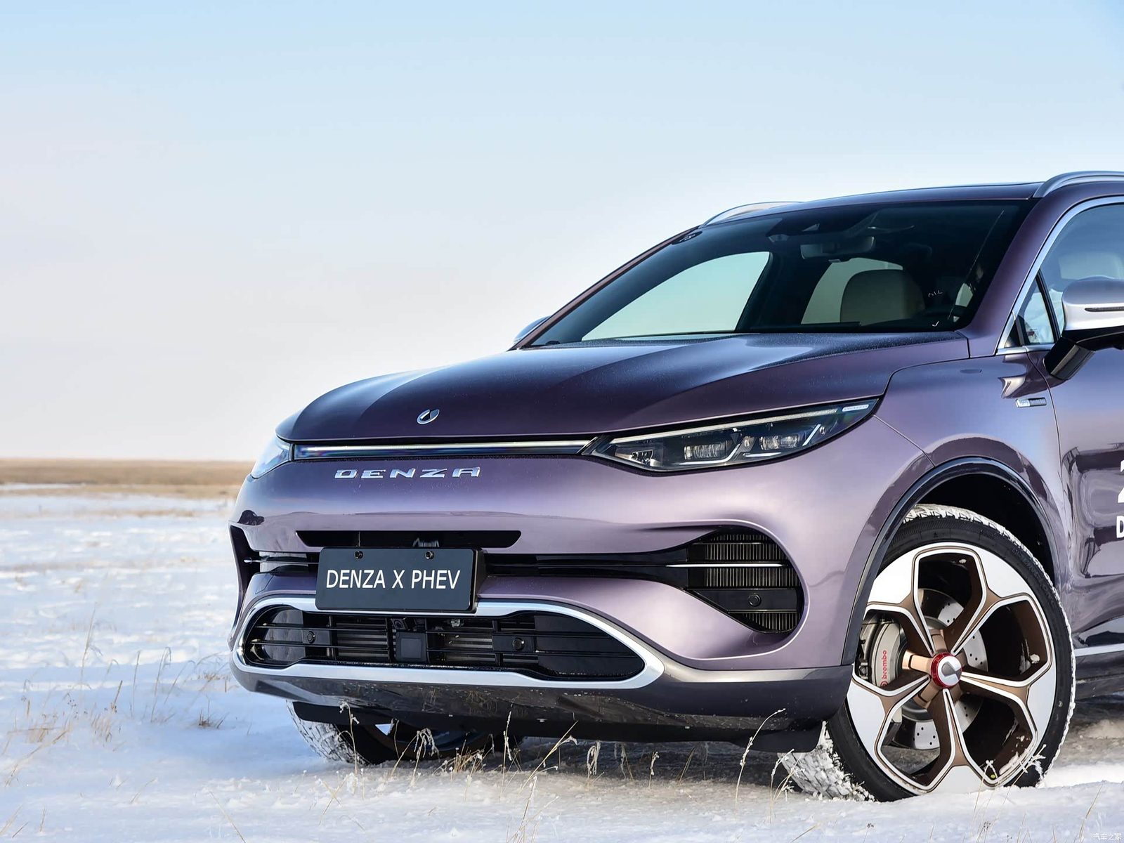 Denza X 2020 - exterior, front detail, china market