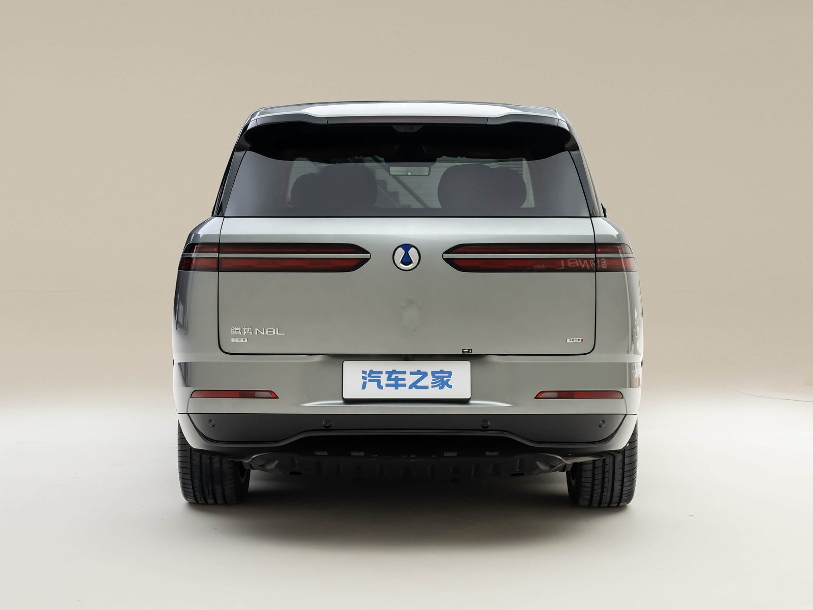 Denza N8L EV - exterior, rear view, China market