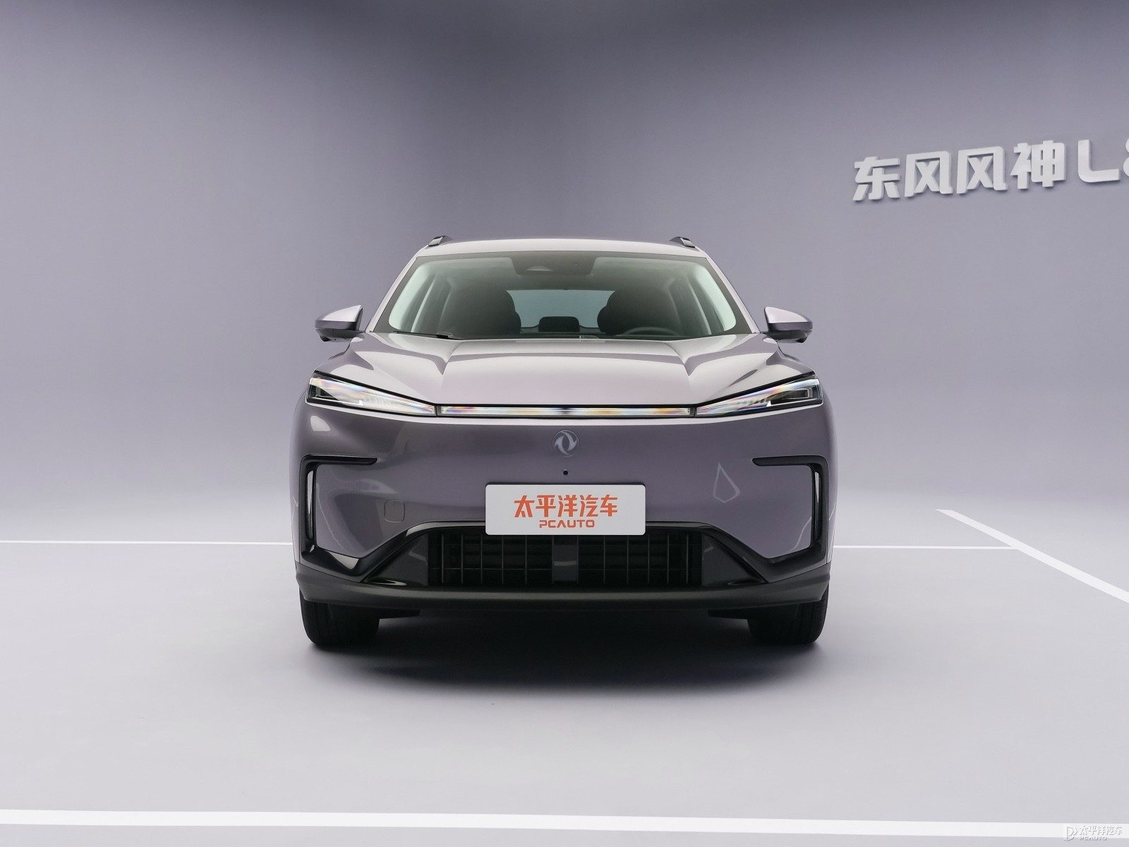 Dongfeng Fengshen L8Y EV - model photo