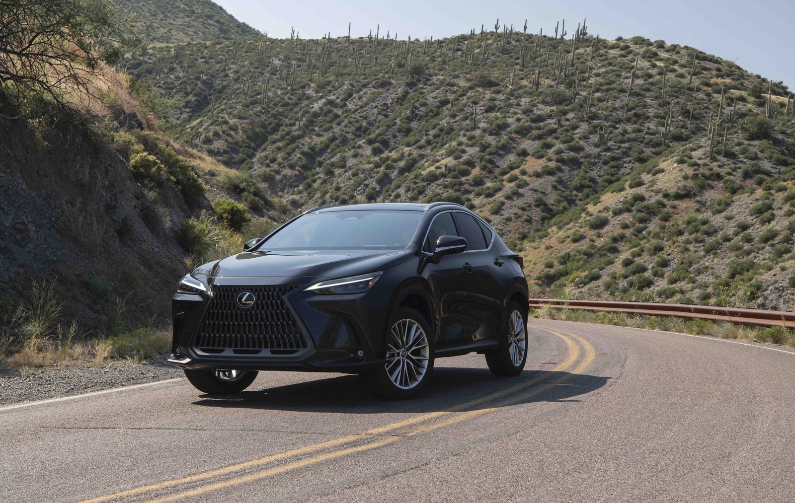Lexus NX 450h+ 2022 — экстерьер, detail, рынок global