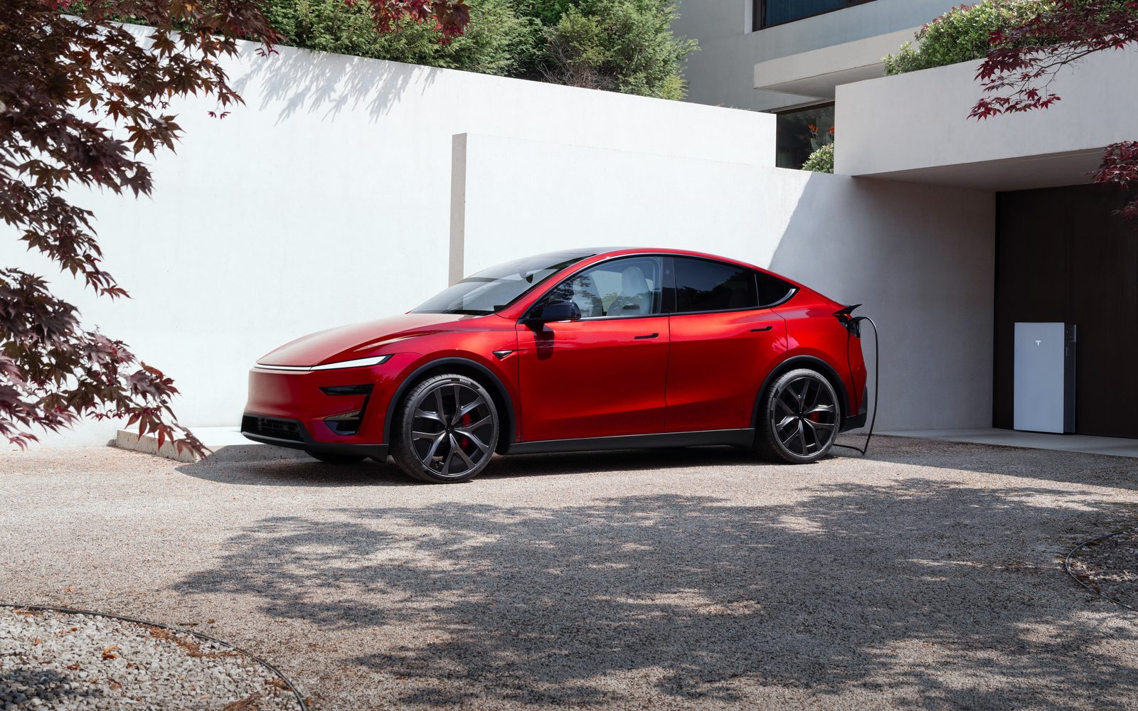 Tesla Model Y Performance China - model photo