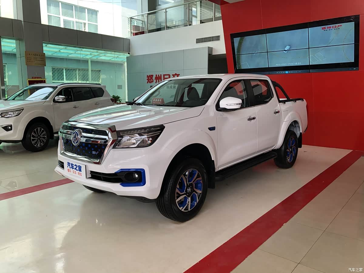 Zhengzhou Nissan Pickup Rich 6EV 2023 - exterior, front three-quarter view